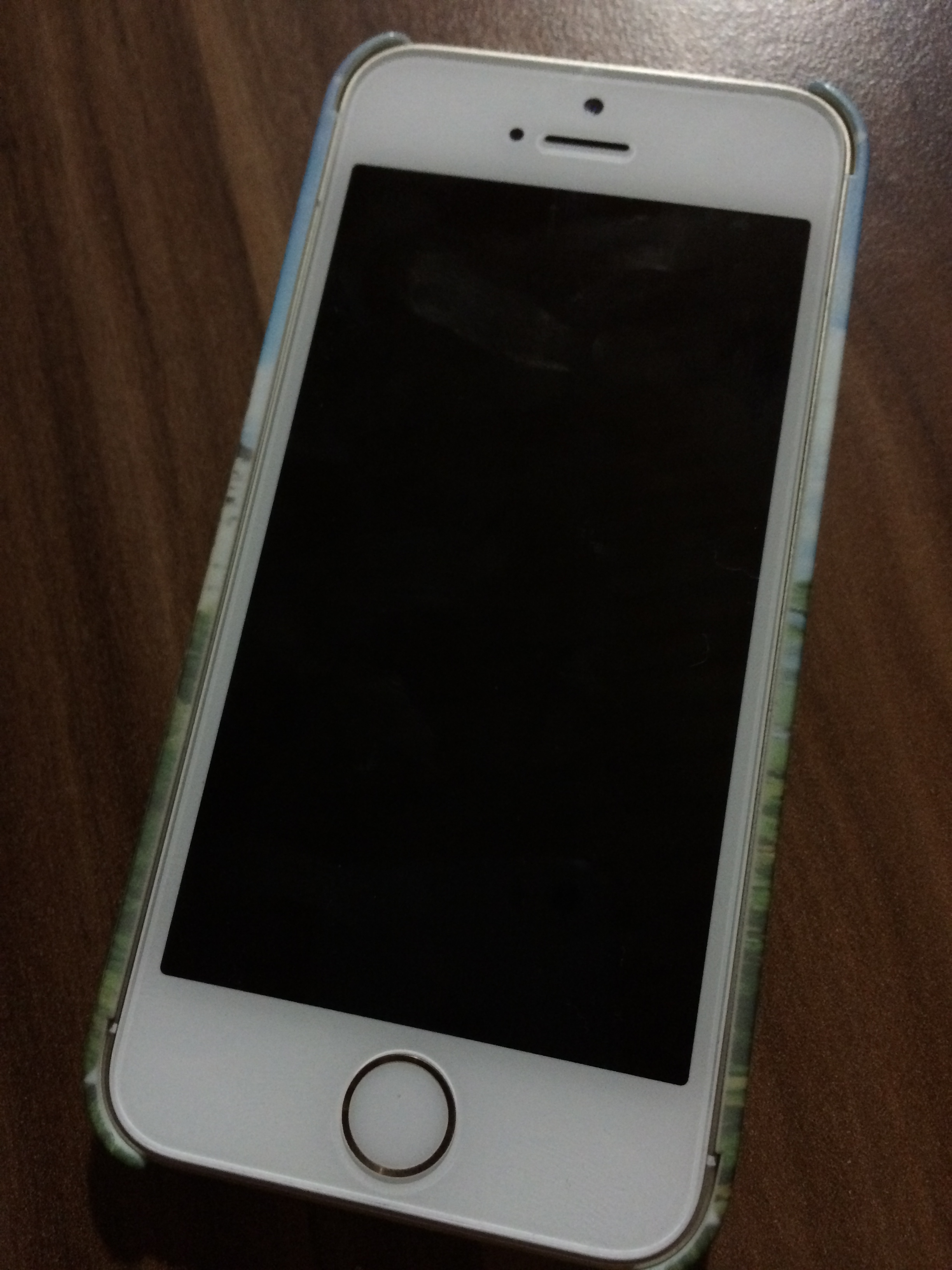 Caseable - Die Premium iPhone 5s Hülle mit Besonderheiten im Test 2