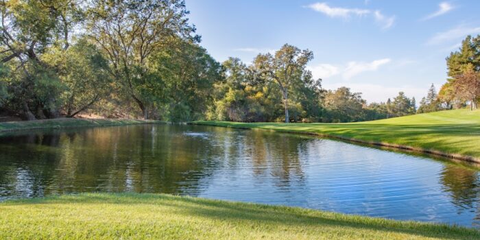 Ein ruhiger Teich, umgeben von grüner Wiese und Bäumen in einer Parklandschaft.